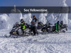 See Yellowstone