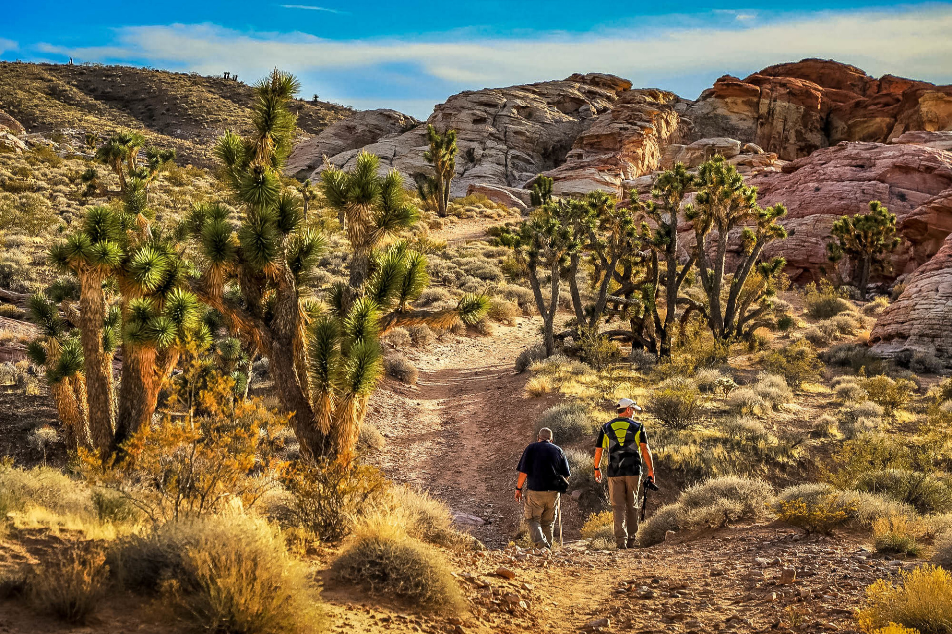 Gold Butte 