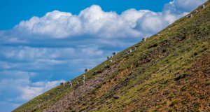 Tushar Mountains