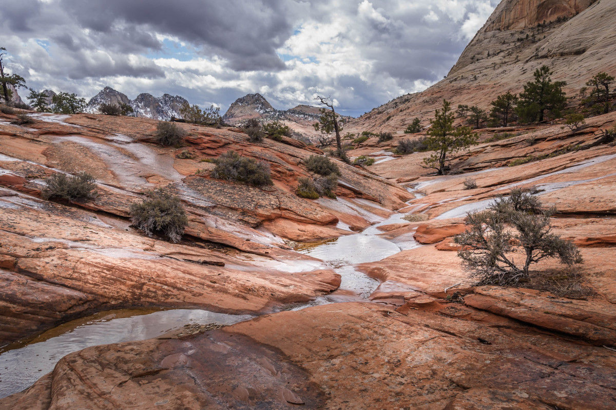 Zion National Park