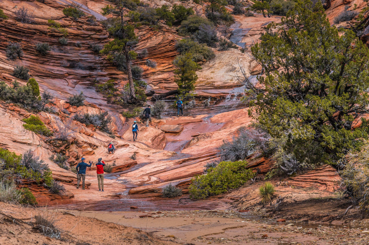 Zion National Park