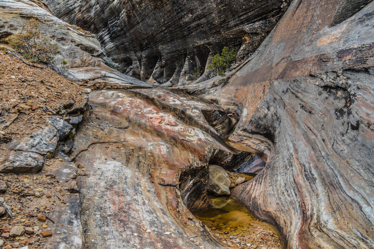 Zion National Park